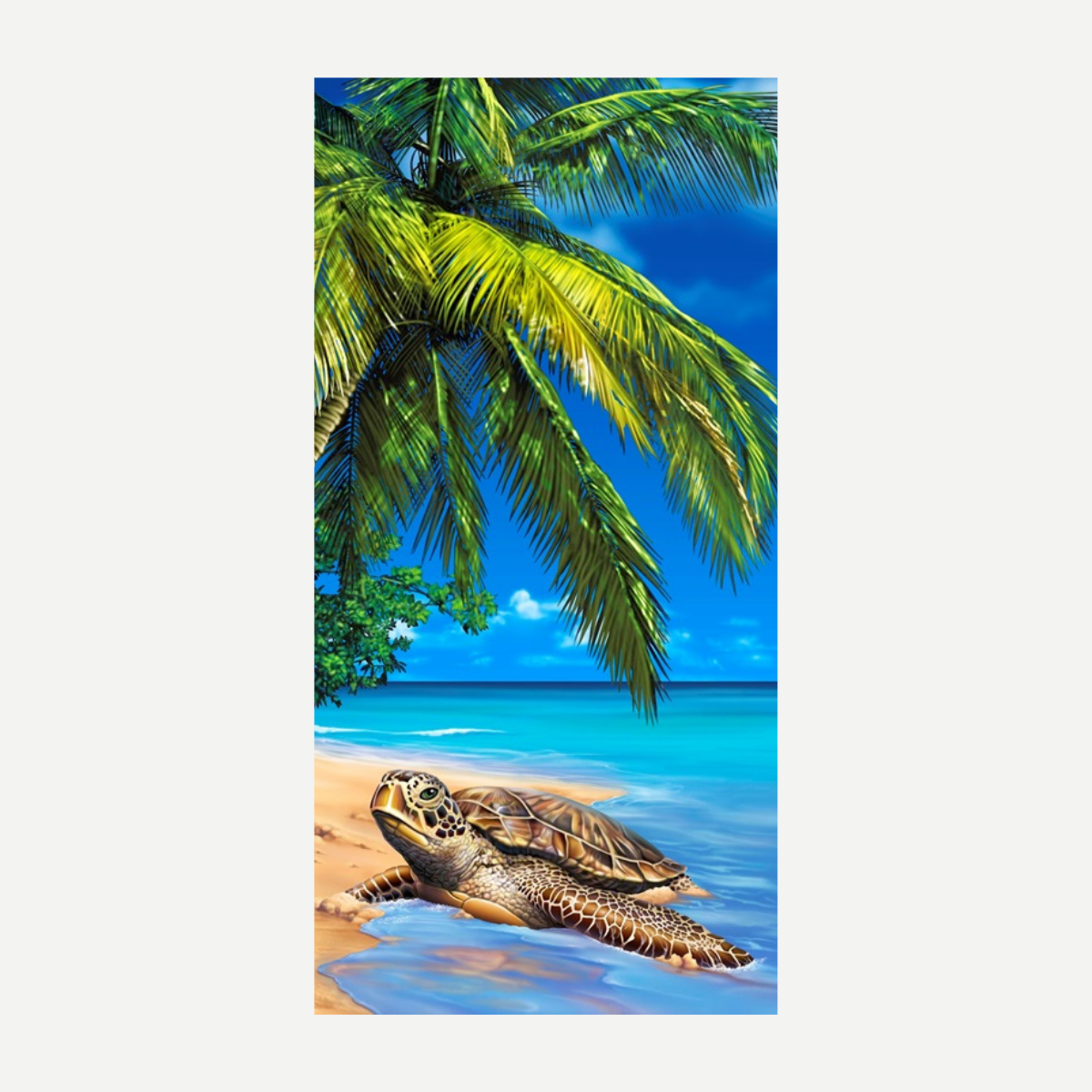 Beach Towels
